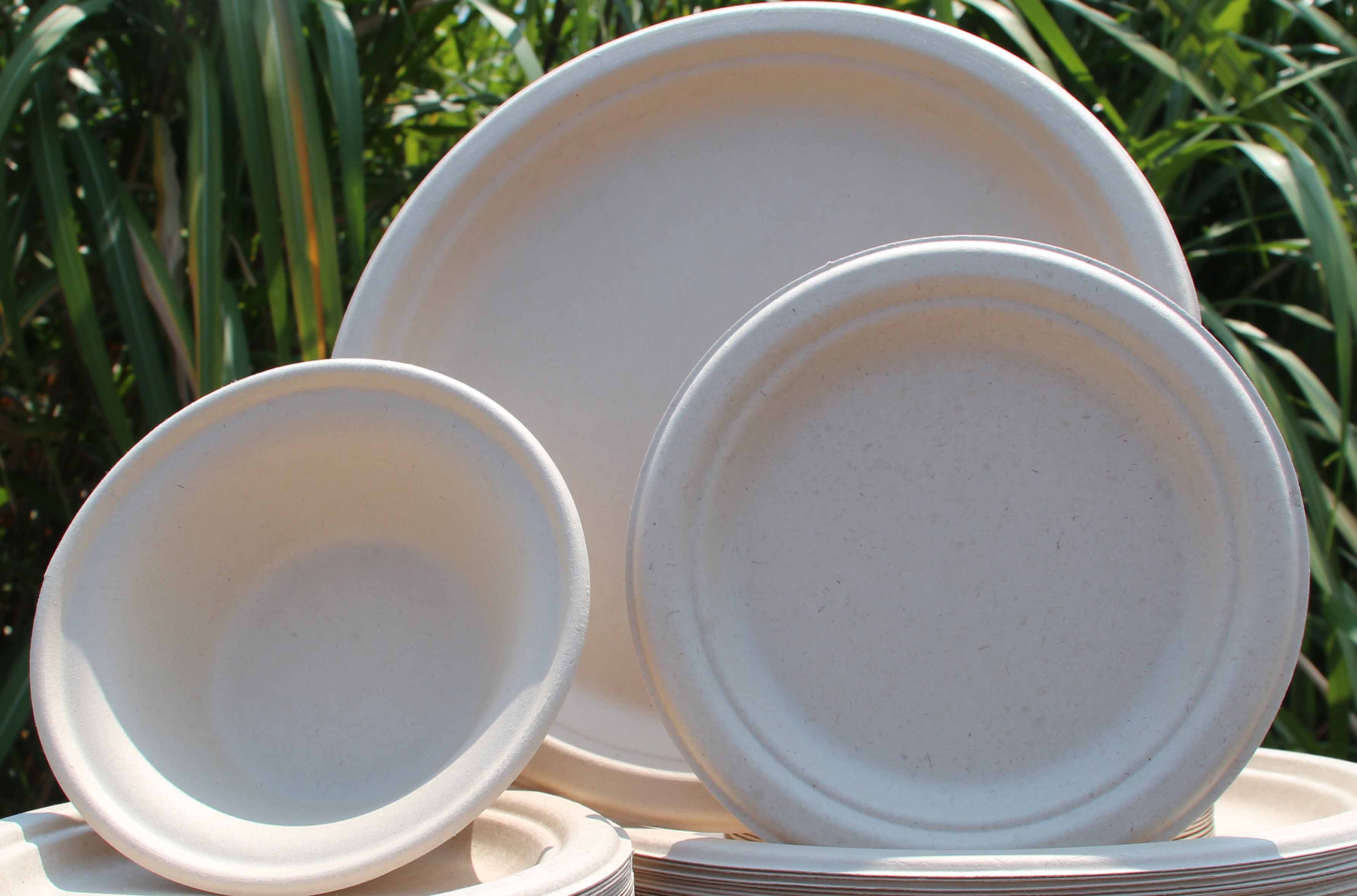 A photo of molded fiber plates and bowls in front of greenery