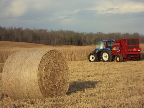 A bale of switchgrass in front of a tractor with a baler