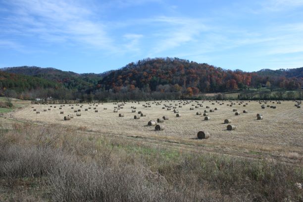 A field with round bales