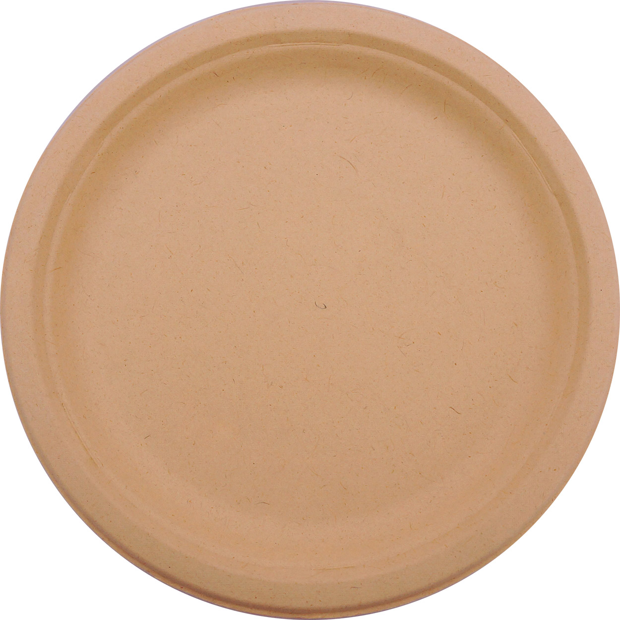 Earthable® Eco-friendly, Ag Fiber 9-inch plate (500 Count)